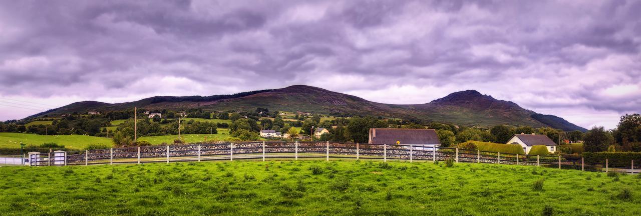 Walkers Nest Bed & Breakfast Carlingford Exterior photo